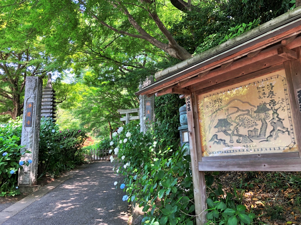 f:id:miwa3k:20190614143950j:plain