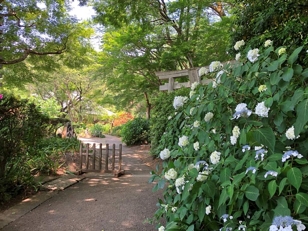 f:id:miwa3k:20190614143951j:plain