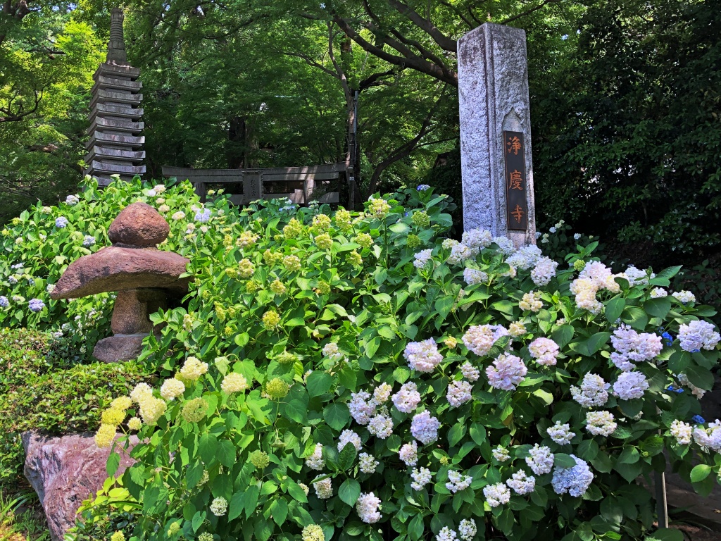 f:id:miwa3k:20190614144001j:plain