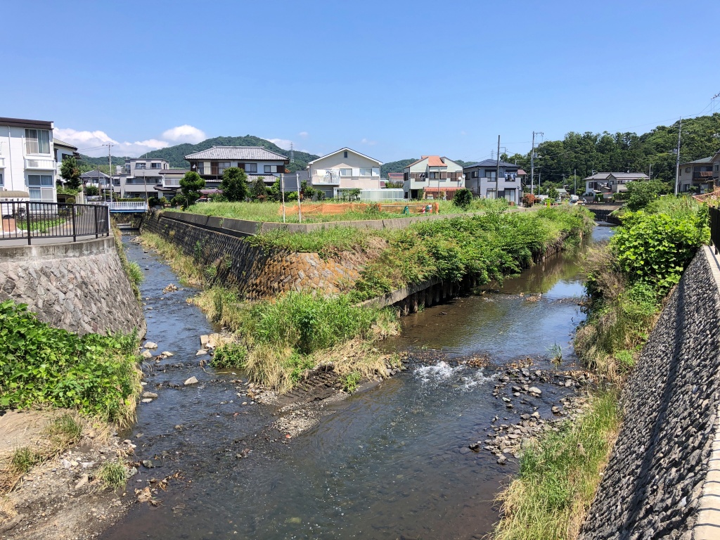 f:id:miwa3k:20190619142219j:plain