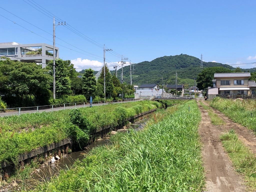 f:id:miwa3k:20190619142228j:plain