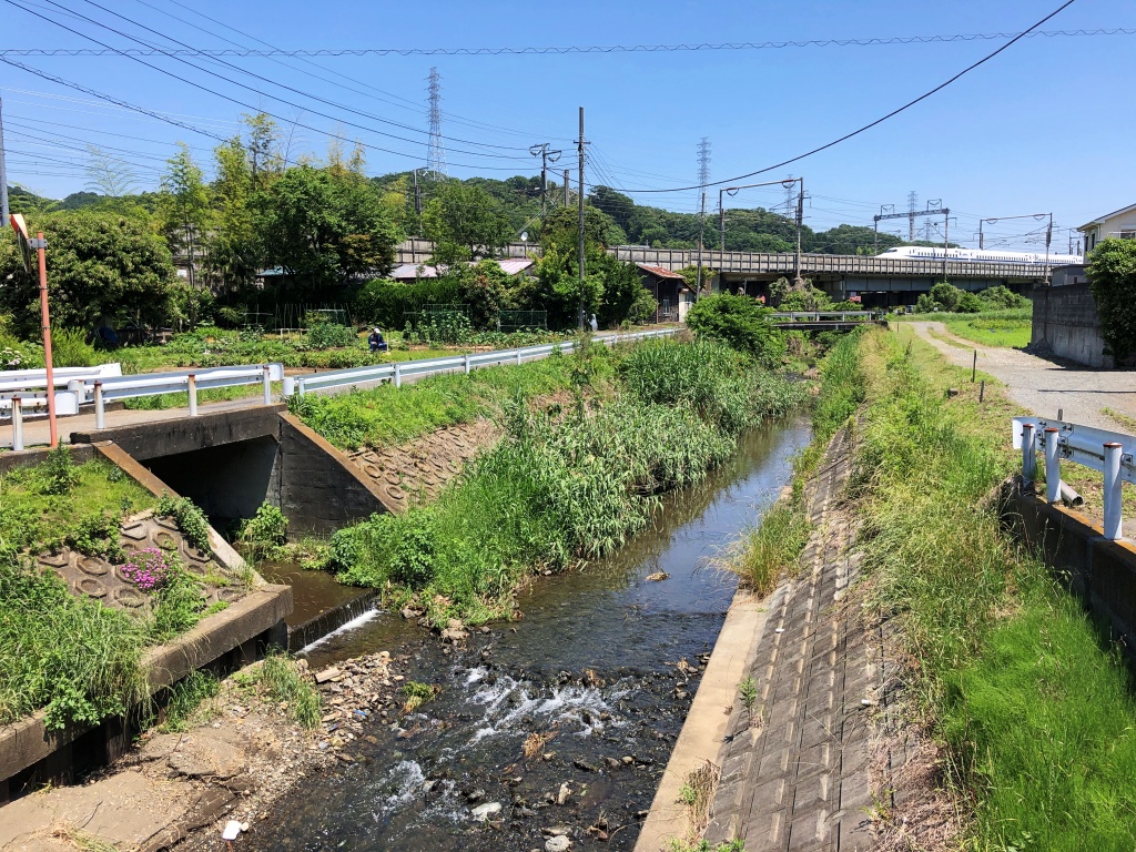 f:id:miwa3k:20190619142240j:plain