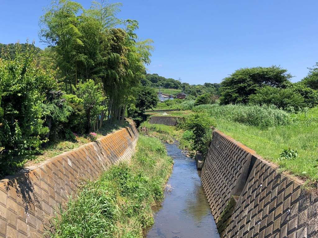 f:id:miwa3k:20190619142249j:plain