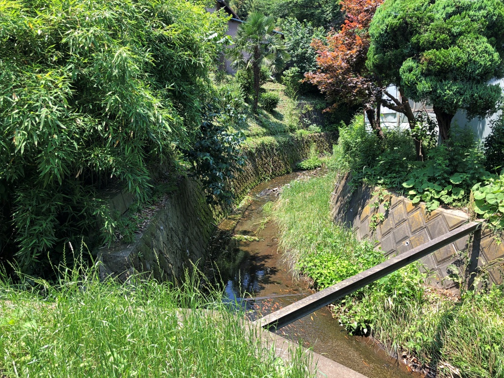 f:id:miwa3k:20190619142342j:plain
