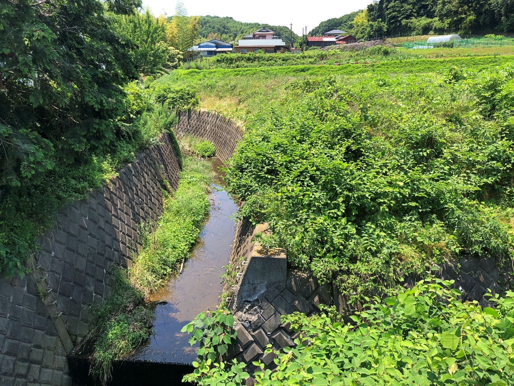 f:id:miwa3k:20190619142400j:plain