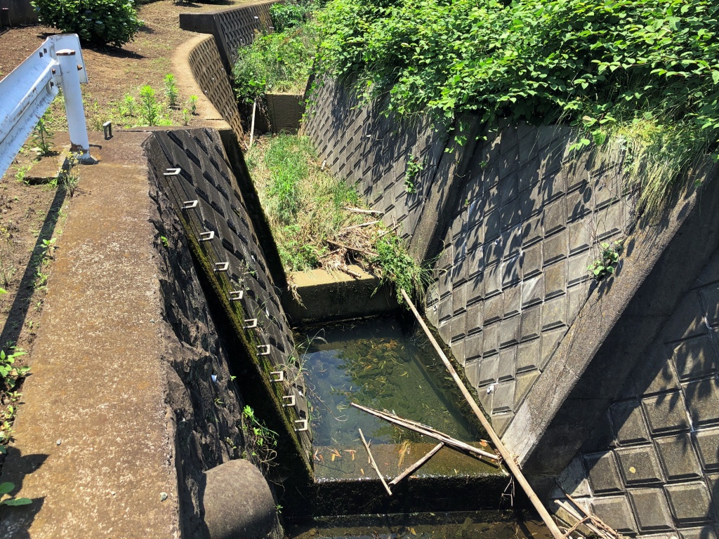 f:id:miwa3k:20190619142411j:plain