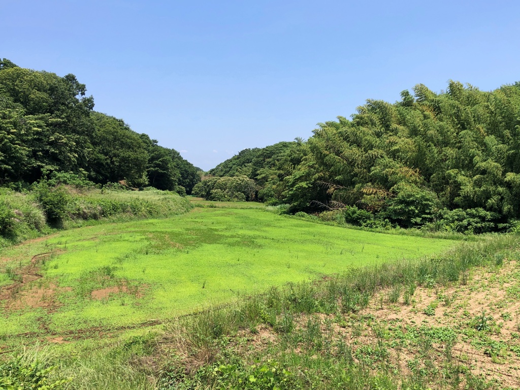 f:id:miwa3k:20190619142445j:plain
