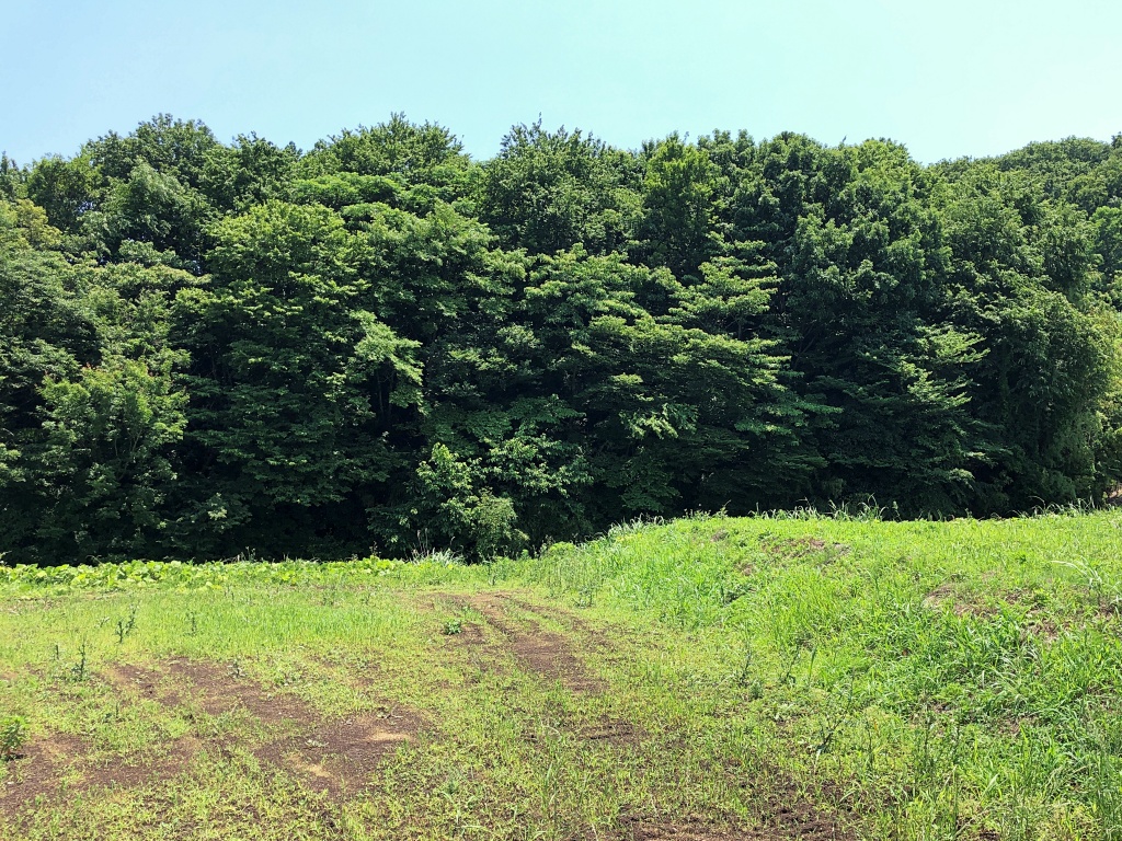 f:id:miwa3k:20190619142507j:plain