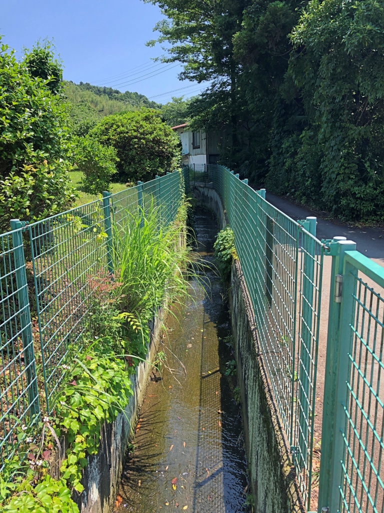 f:id:miwa3k:20190622224619j:plain