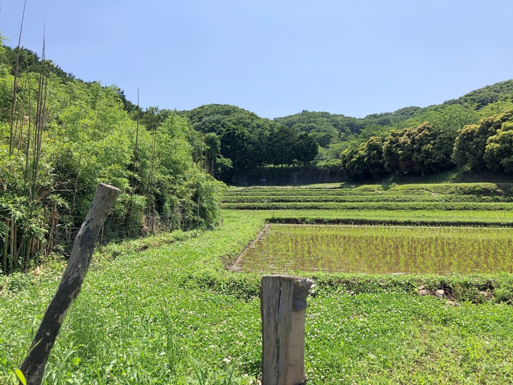 f:id:miwa3k:20190622224653j:plain