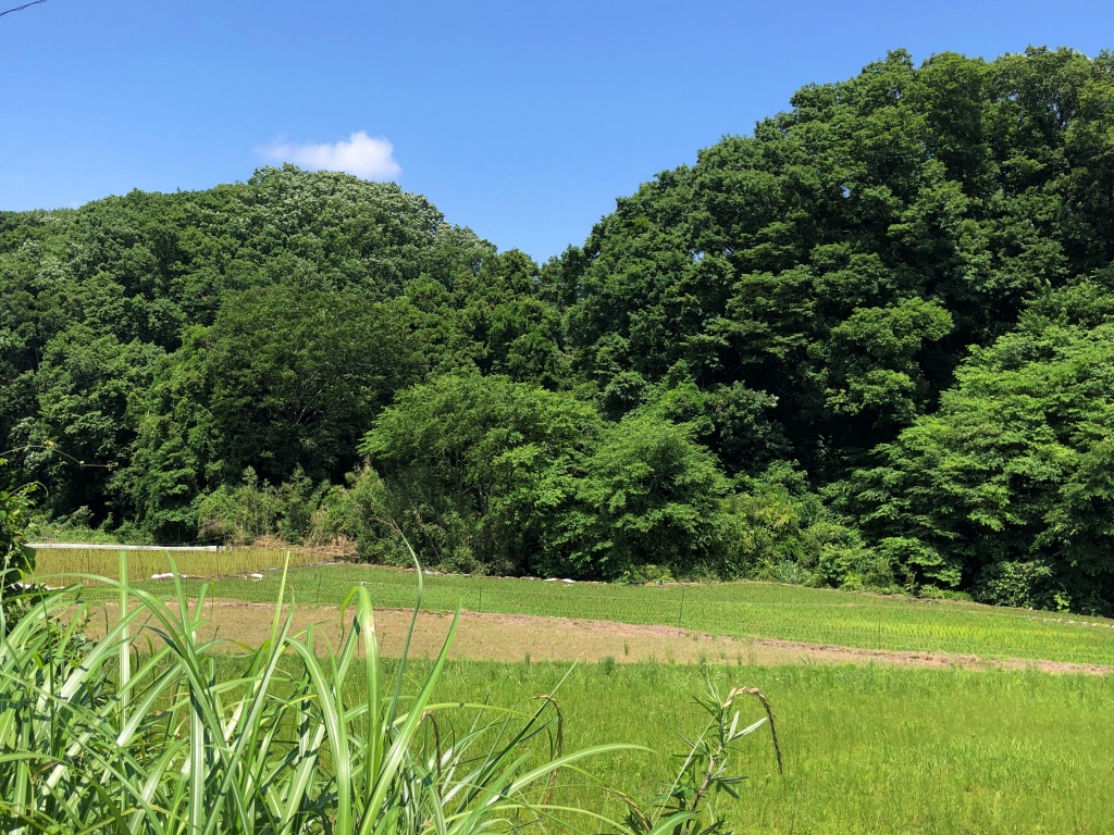 f:id:miwa3k:20190622224707j:plain