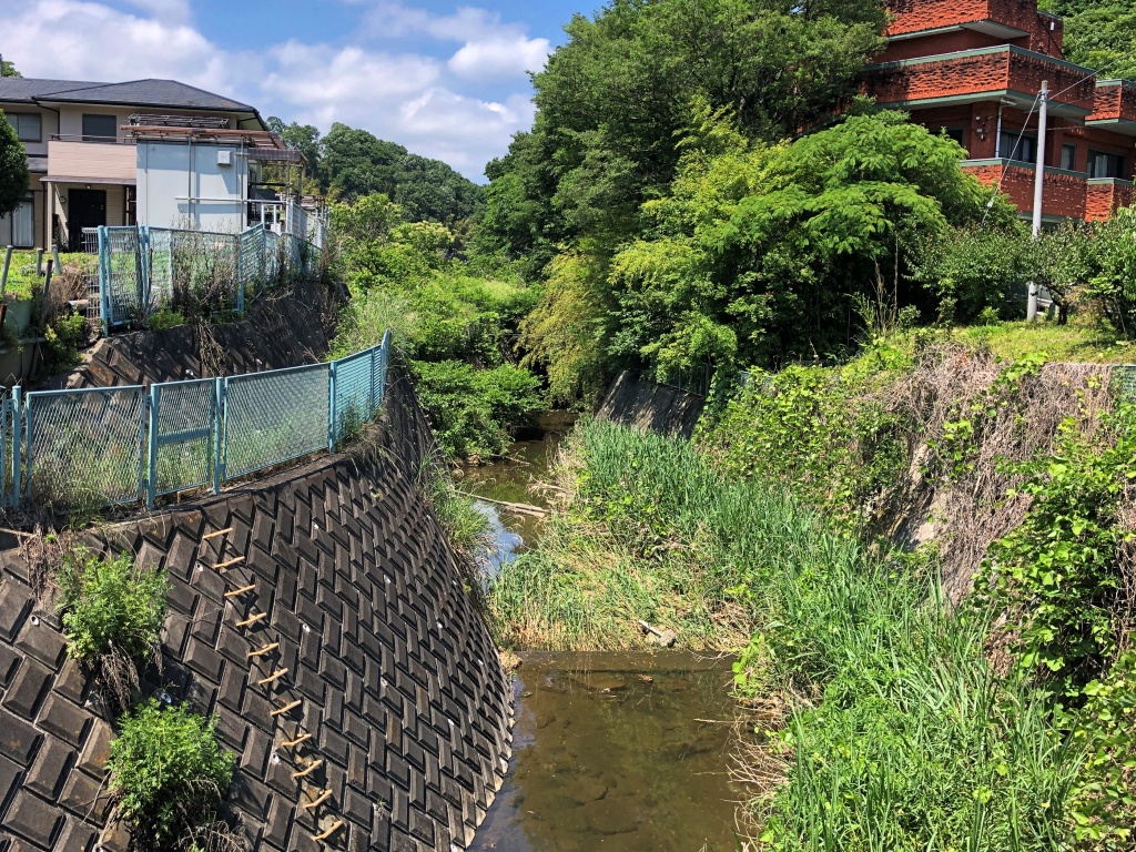 f:id:miwa3k:20190622224718j:plain