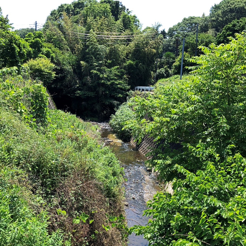 f:id:miwa3k:20190622224729j:plain