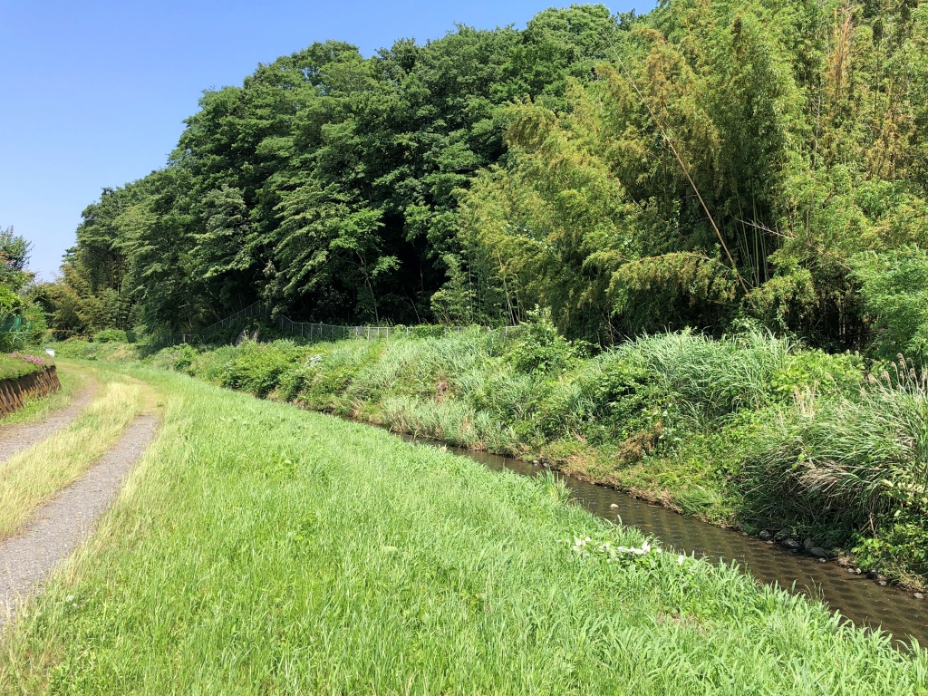 f:id:miwa3k:20190622224807j:plain