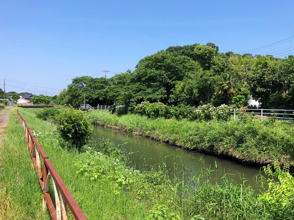 f:id:miwa3k:20190622224829j:plain