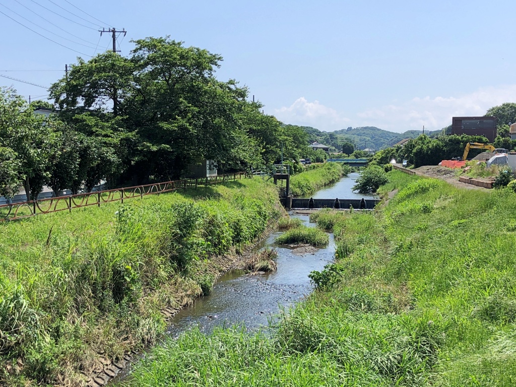 f:id:miwa3k:20190622224837j:plain
