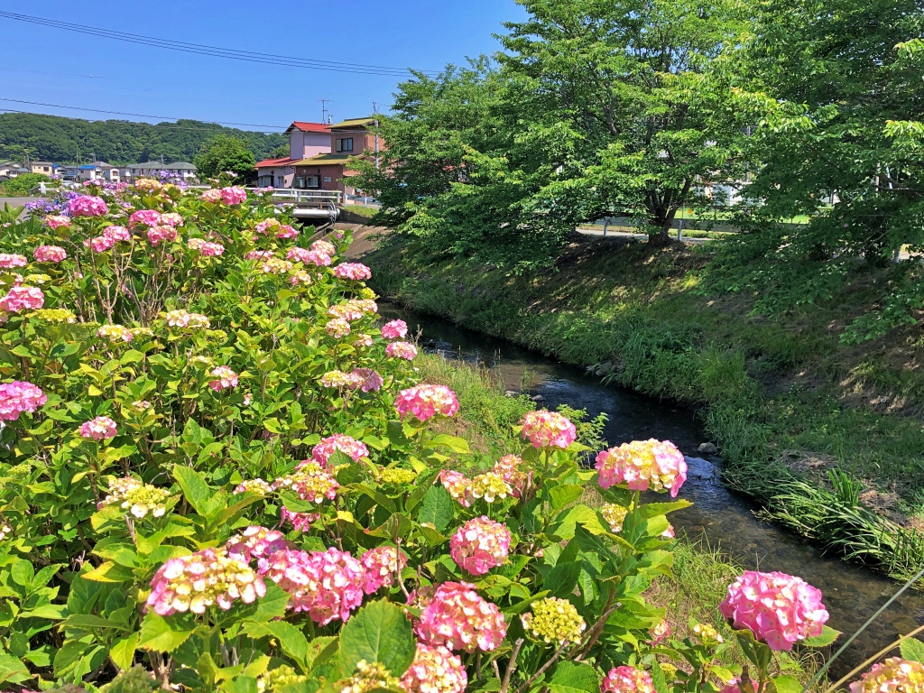 f:id:miwa3k:20190622224846j:plain