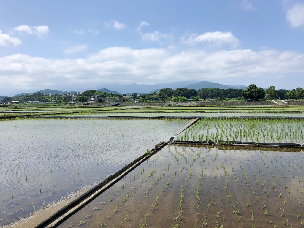 f:id:miwa3k:20190622224913j:plain