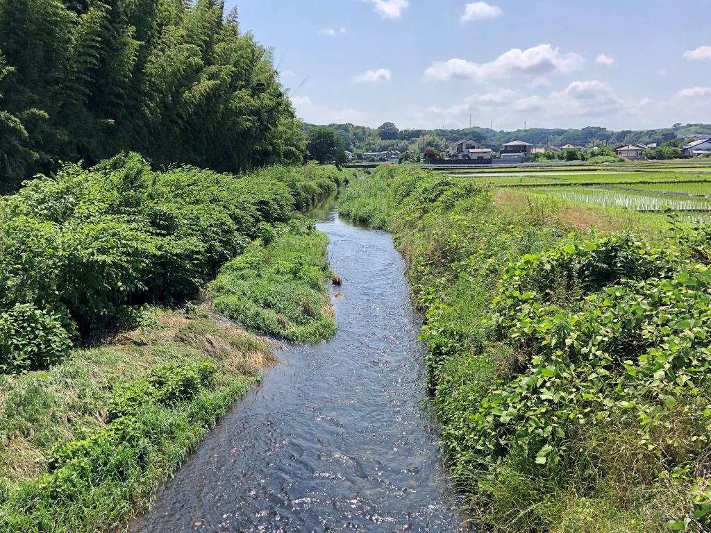 f:id:miwa3k:20190622224928j:plain