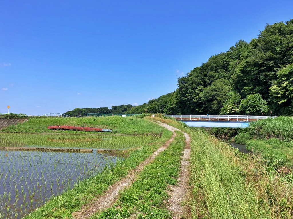 f:id:miwa3k:20190622224938j:plain