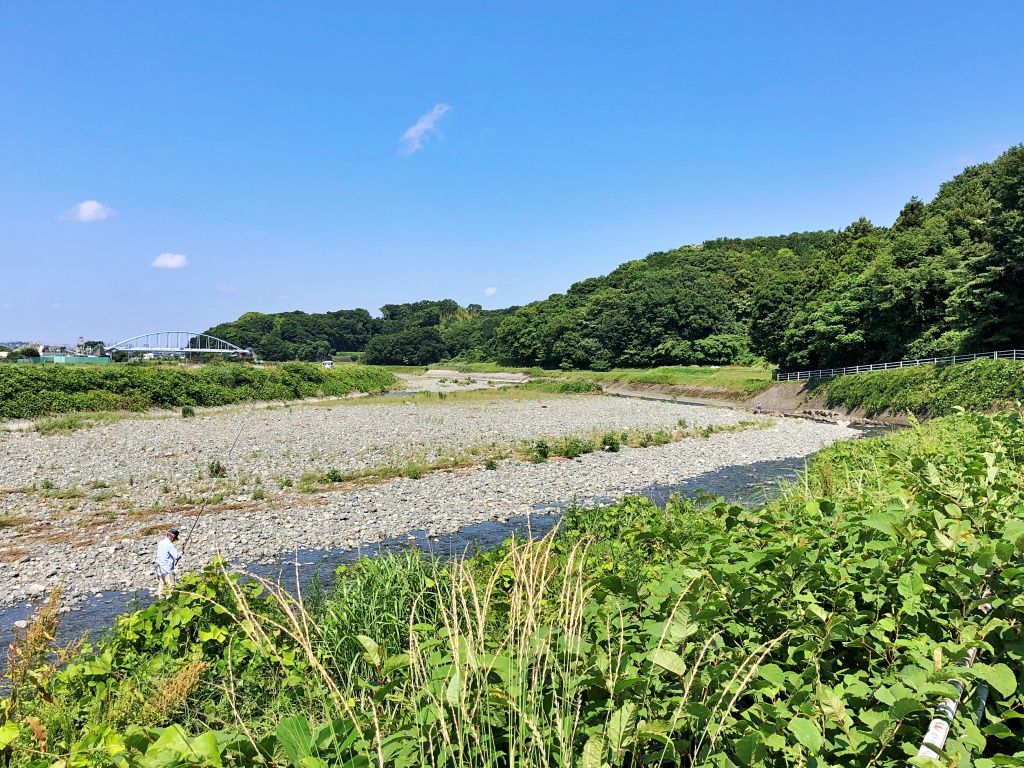 f:id:miwa3k:20190622225024j:plain