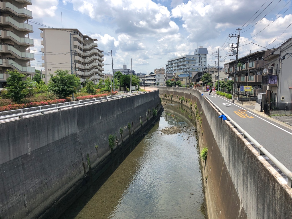 f:id:miwa3k:20190624143914j:plain