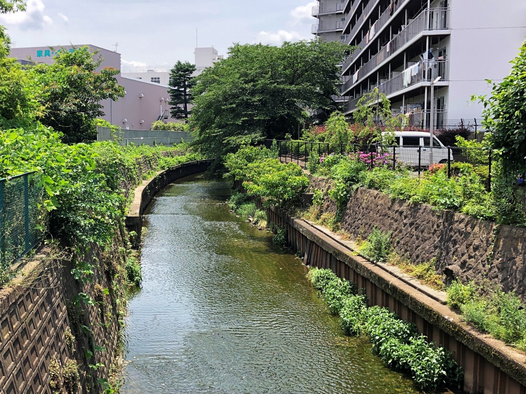 f:id:miwa3k:20190624143948j:plain