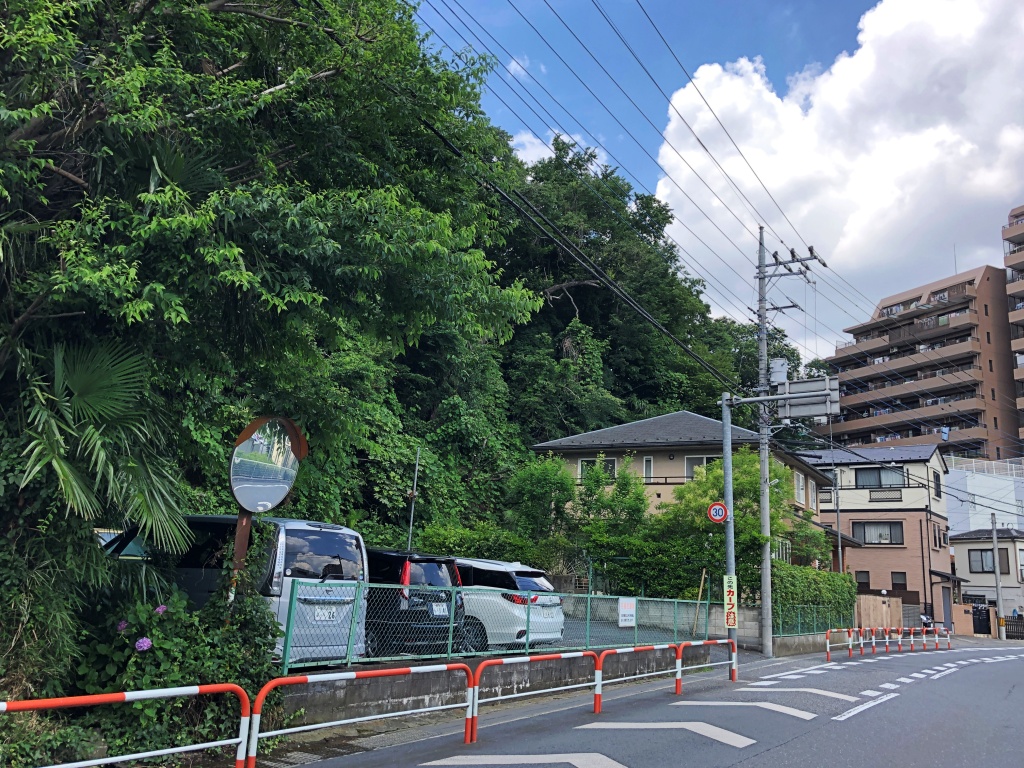 f:id:miwa3k:20190624143957j:plain