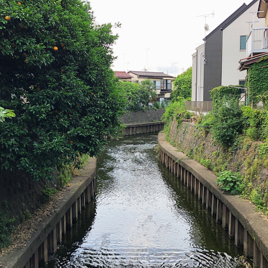 f:id:miwa3k:20190624144006j:plain