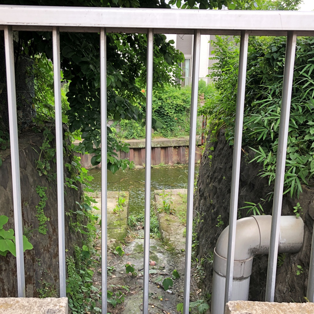 f:id:miwa3k:20190624144015j:plain