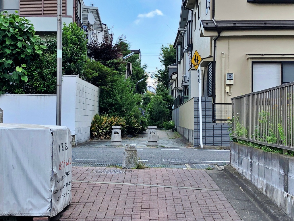 f:id:miwa3k:20190624144023j:plain