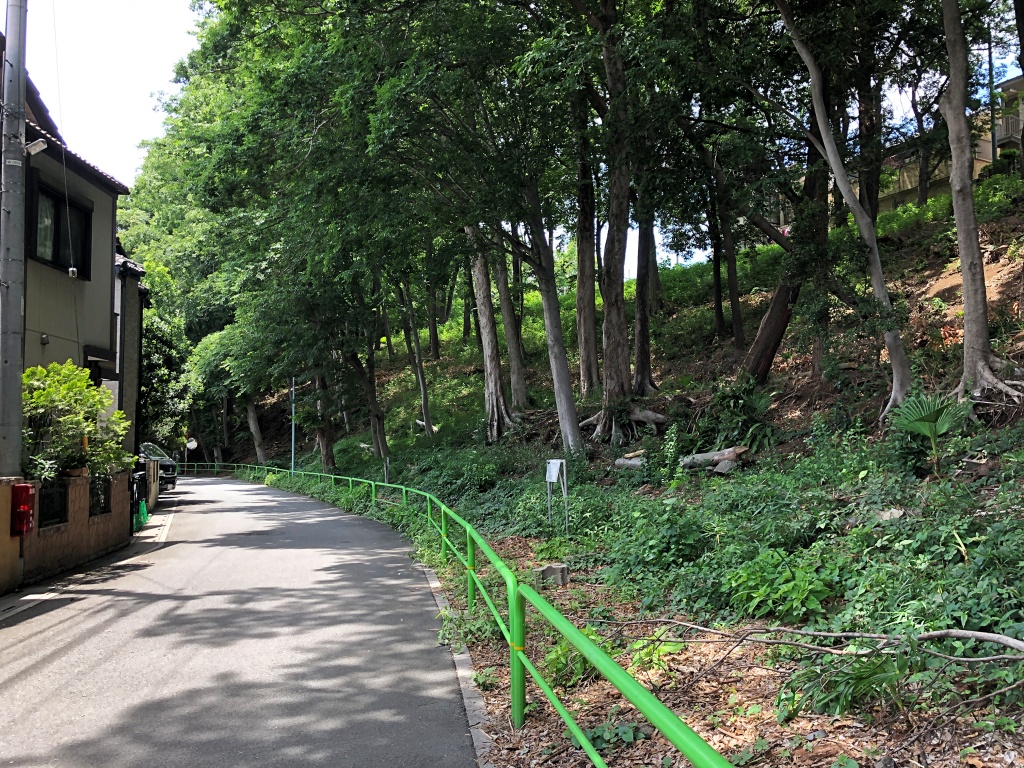 f:id:miwa3k:20190624144114j:plain