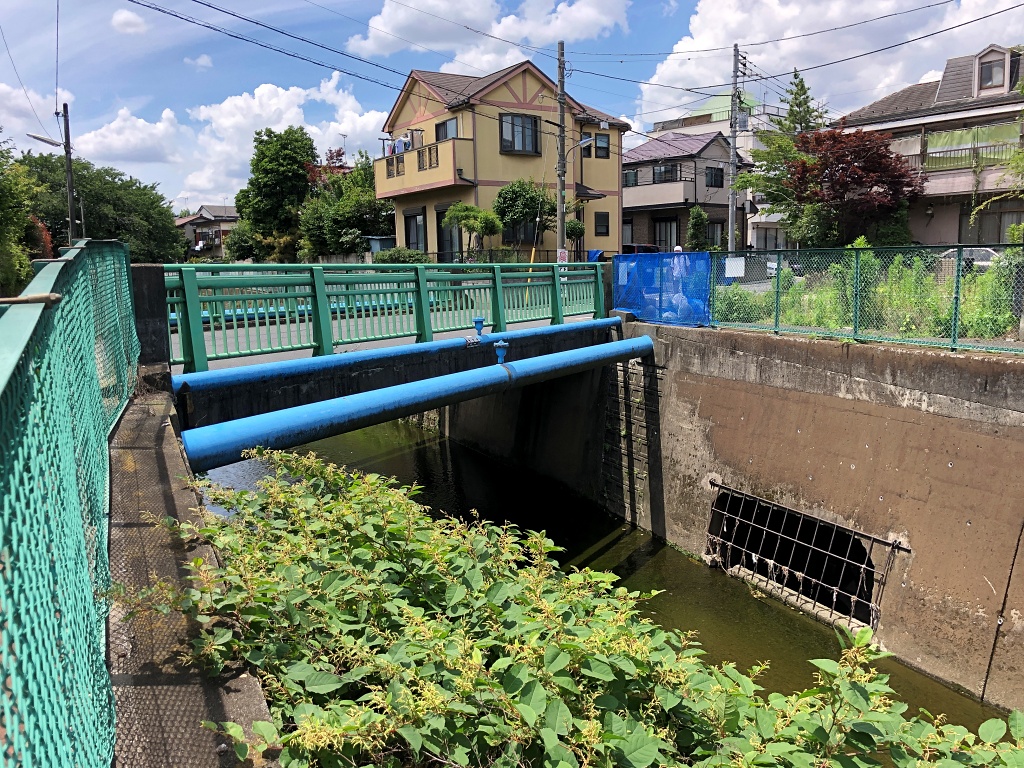 f:id:miwa3k:20190624144133j:plain