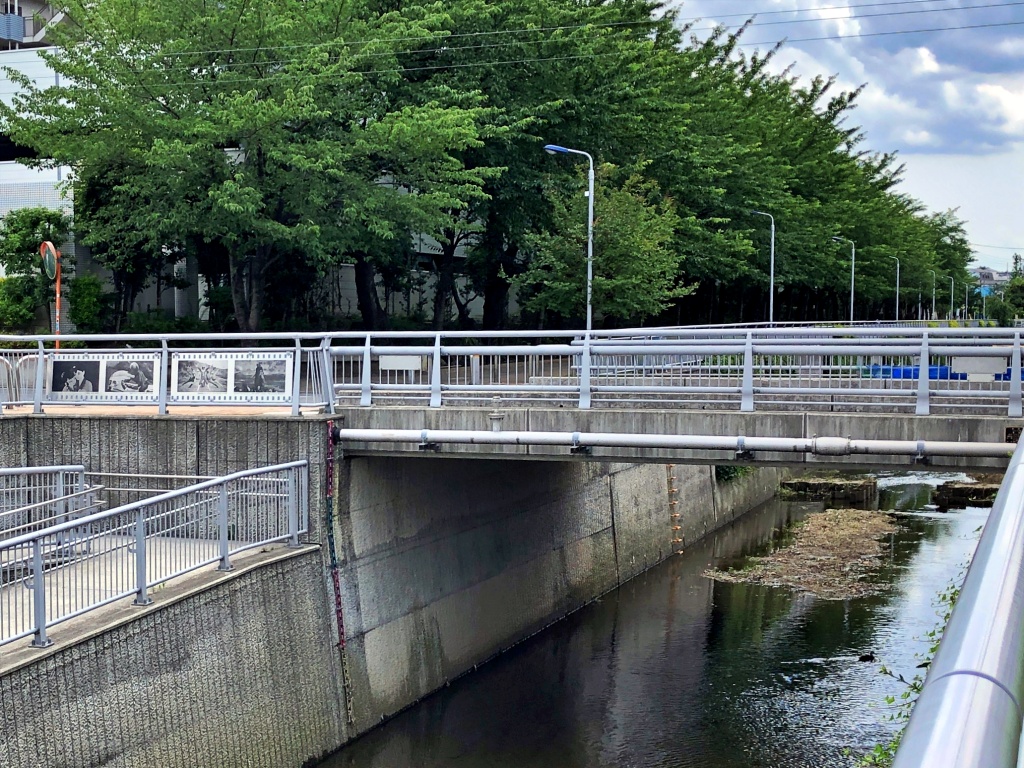 f:id:miwa3k:20190624144221j:plain