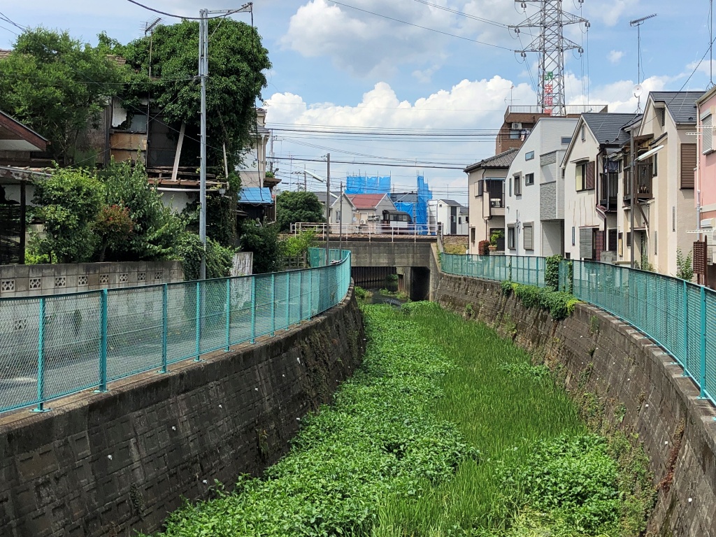 f:id:miwa3k:20190624144250j:plain