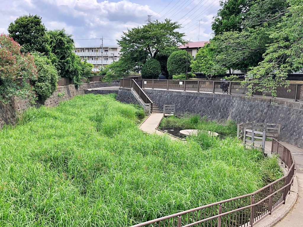 f:id:miwa3k:20190624144323j:plain