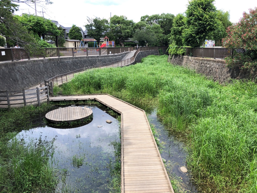 f:id:miwa3k:20190624144340j:plain