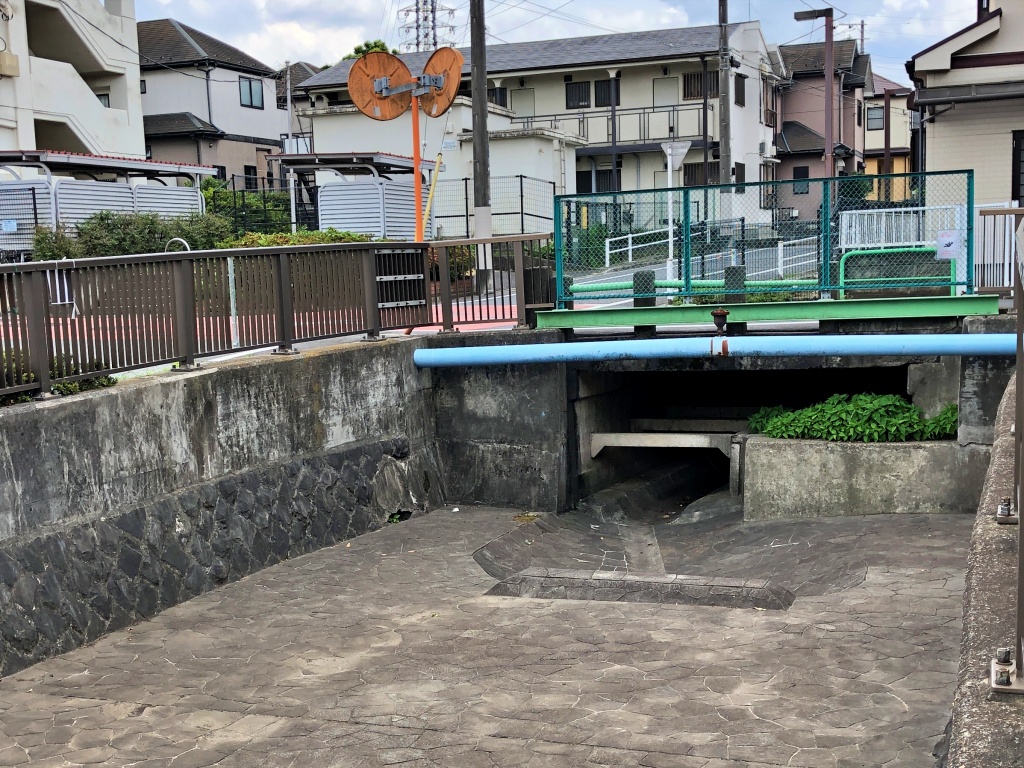 f:id:miwa3k:20190624144348j:plain