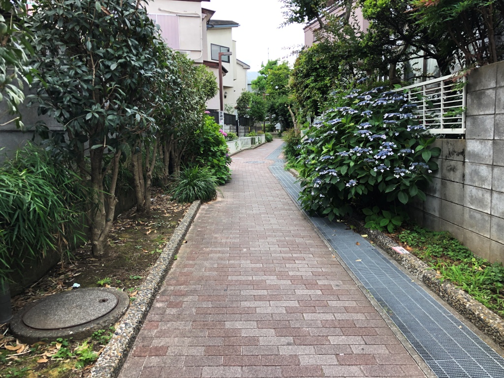 f:id:miwa3k:20190629130512j:plain