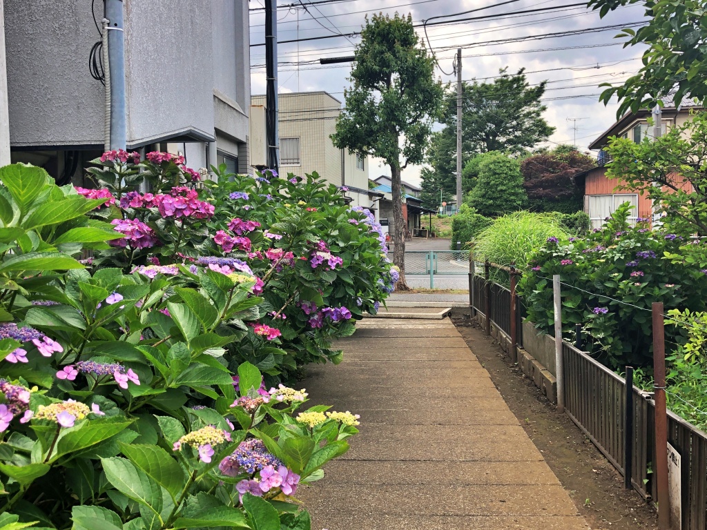 f:id:miwa3k:20190629130624j:plain