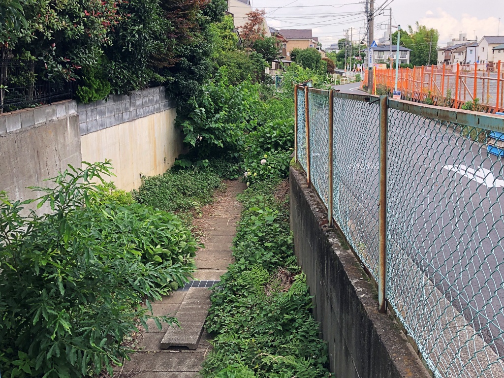 f:id:miwa3k:20190629130916j:plain