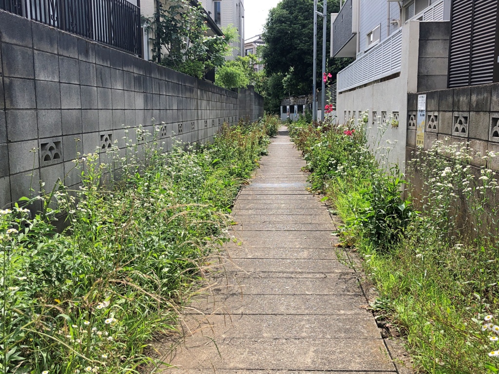 f:id:miwa3k:20190629131009j:plain