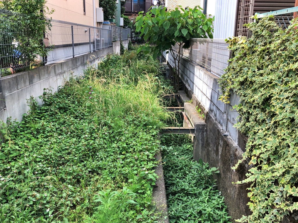 f:id:miwa3k:20190629131100j:plain