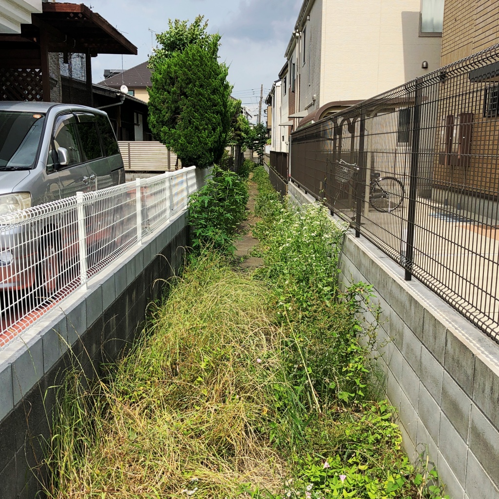 f:id:miwa3k:20190629131159j:plain