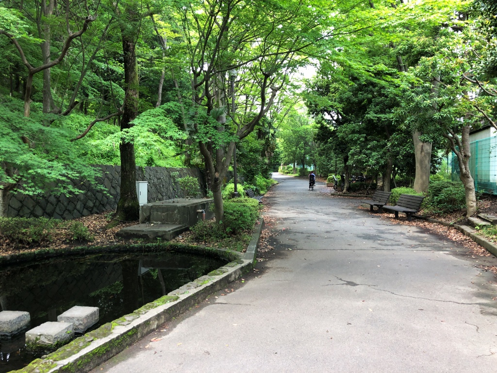 f:id:miwa3k:20190703185658j:plain