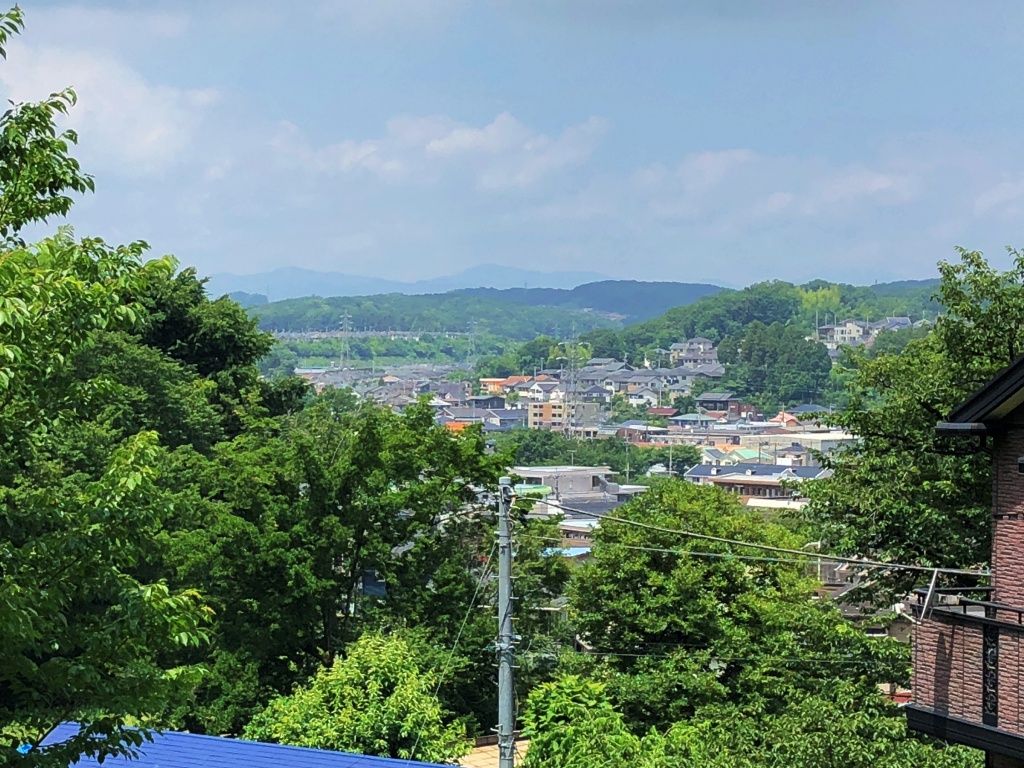 f:id:miwa3k:20190703185706j:plain