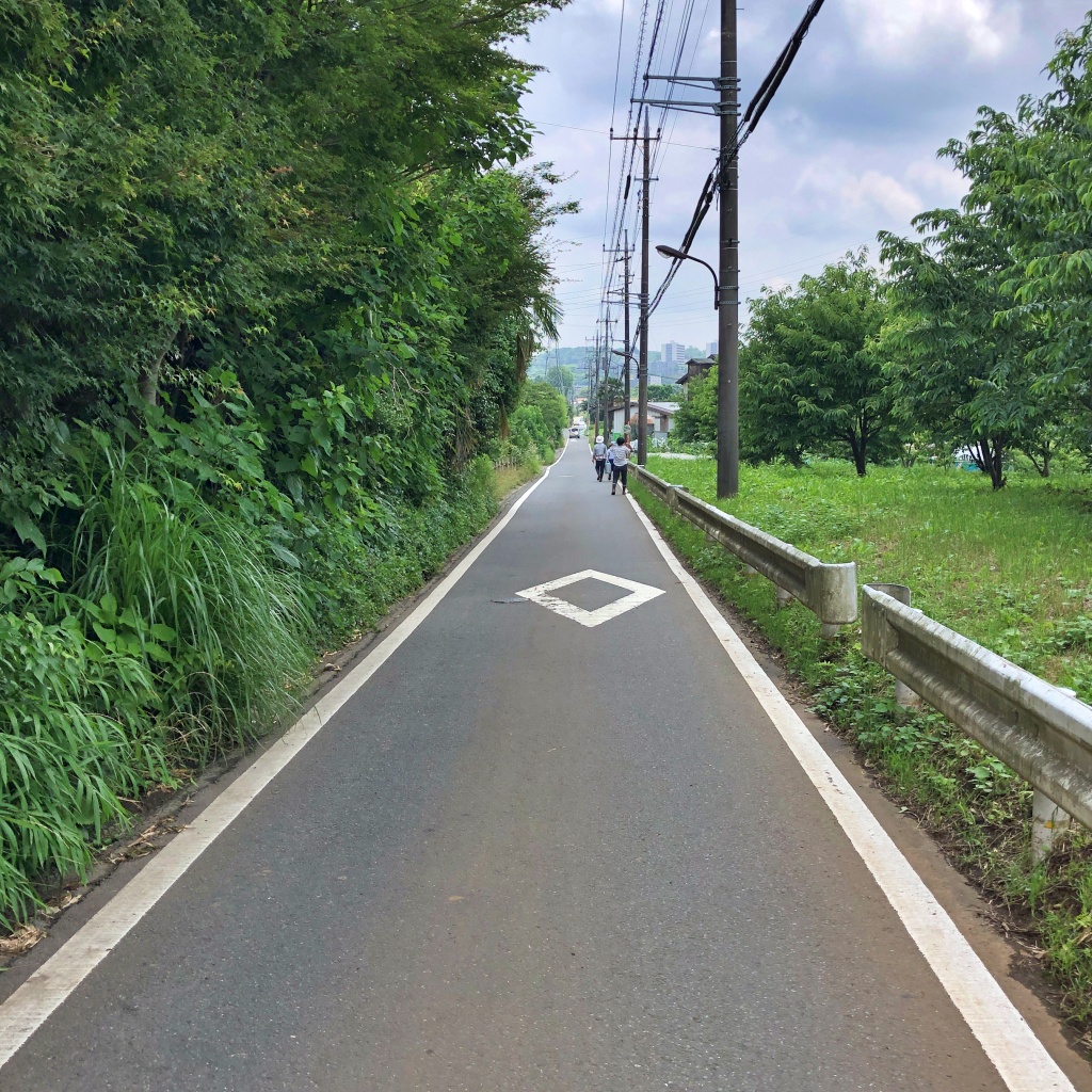 f:id:miwa3k:20190703185726j:plain
