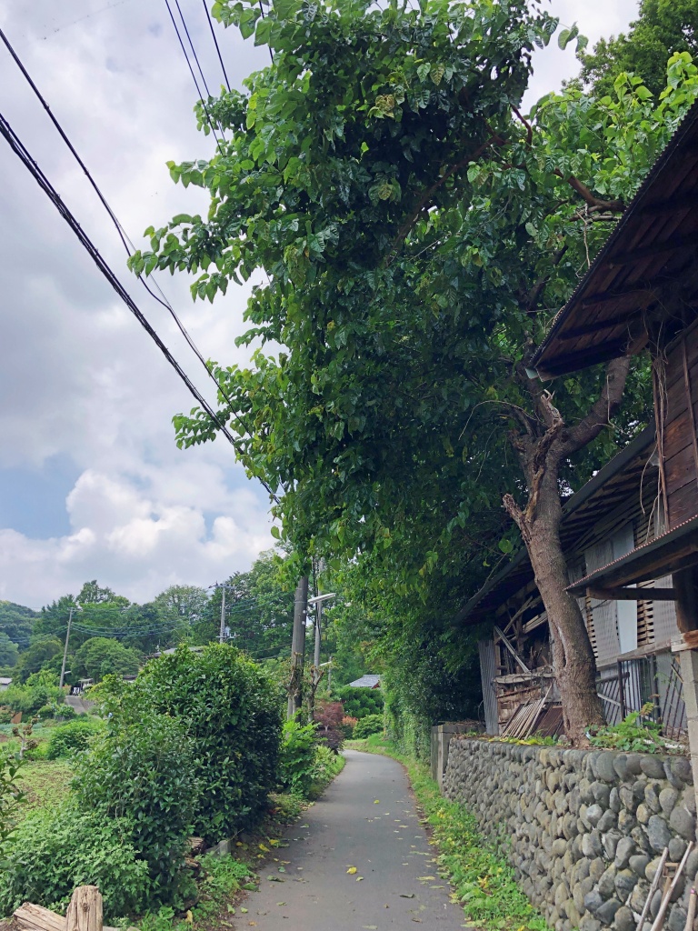 f:id:miwa3k:20190703185737j:plain