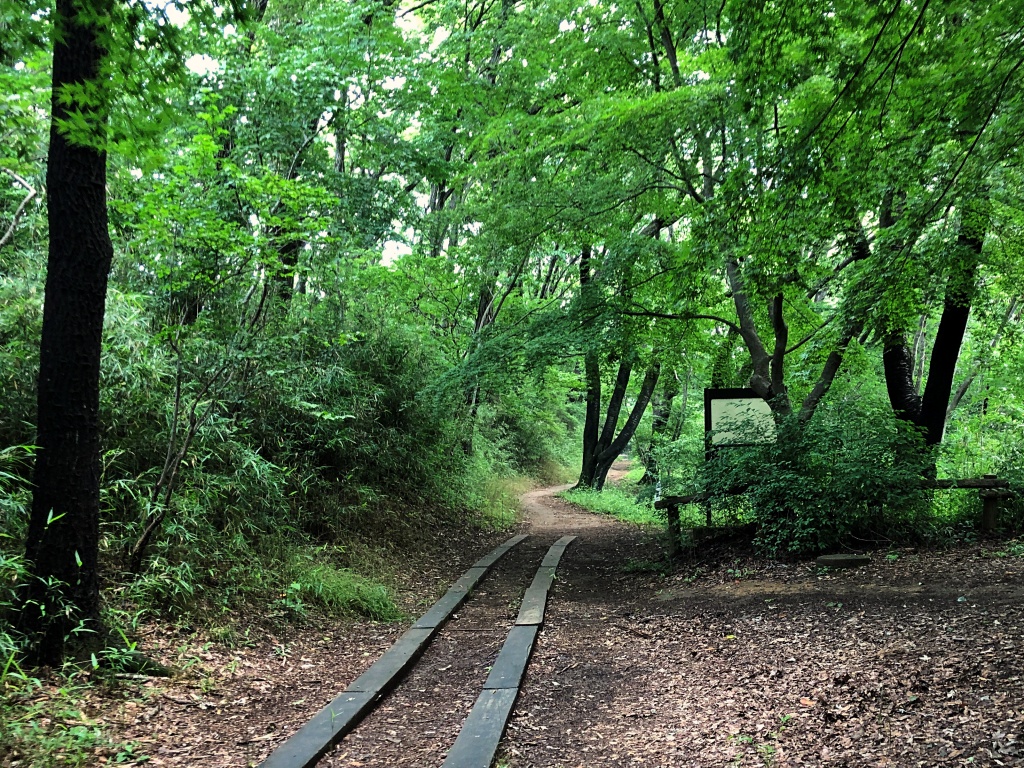 f:id:miwa3k:20190703185753j:plain