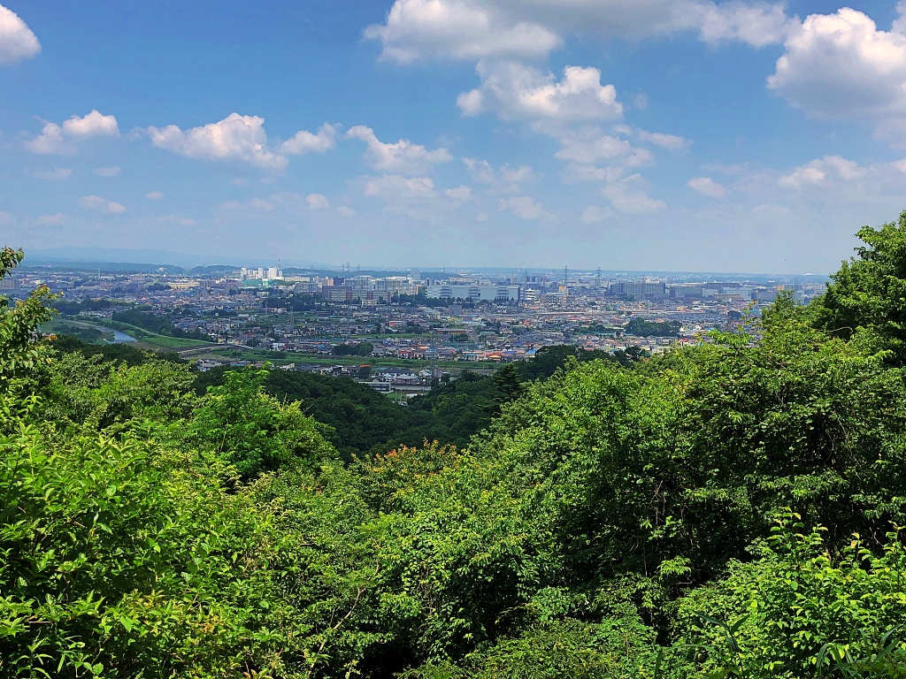 f:id:miwa3k:20190703185817j:plain